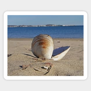 Revere Beach Clam Shell Back Revere MA Sticker